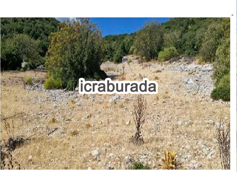 icralık  m2 Tarla Antalya Kaş Çataloluk