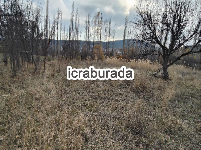 icralık  m2 Tarla Gümüşhane Şiran Yeşilkent