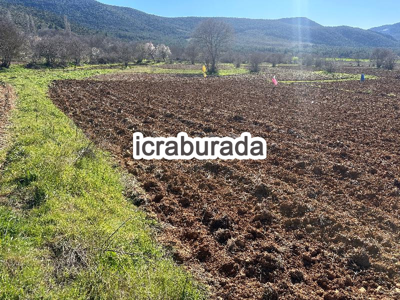 icralık  m2 Tarla Bilecik Gölpazarı Karaağaç