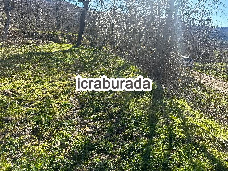 icralık  m2 Bag Bilecik Gölpazarı Karaağaç