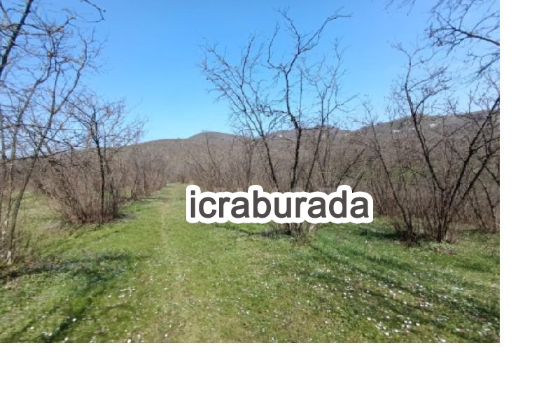 icralık  m2 Tarla Sakarya Karasu Kurudere/atatürk