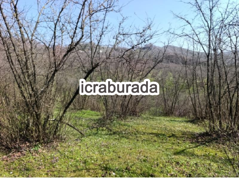 icralık  m2 Tarla Sakarya Karasu Kurudere/atatürk