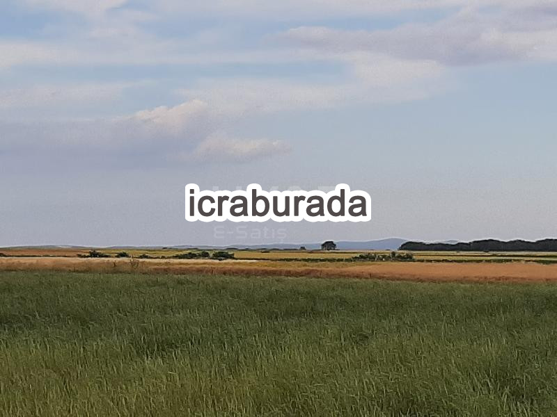 icralık  m2 Tarla Tekirdağ Saray Demirler