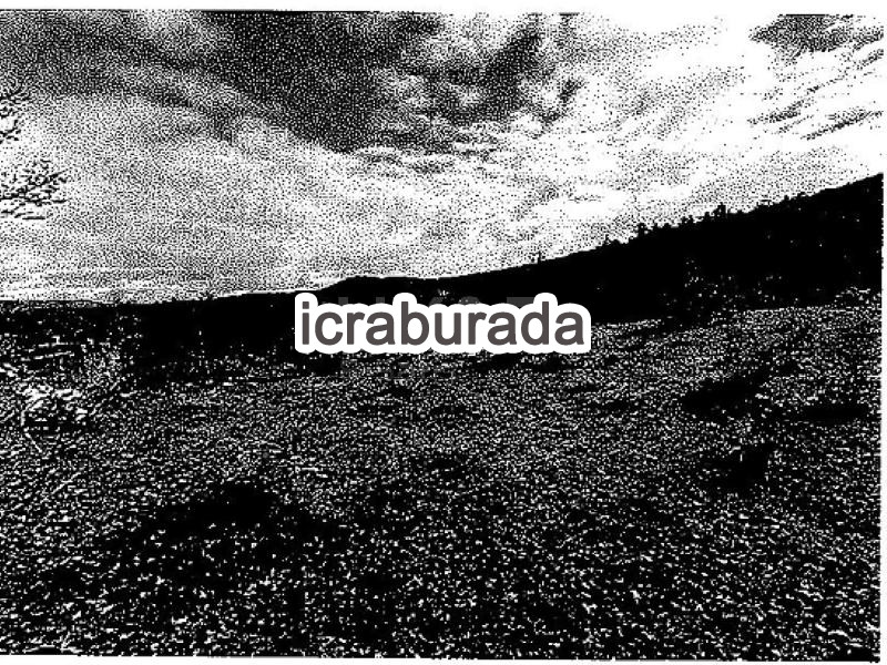 icralık  m2 Tarla Karabük Merkez Gölören