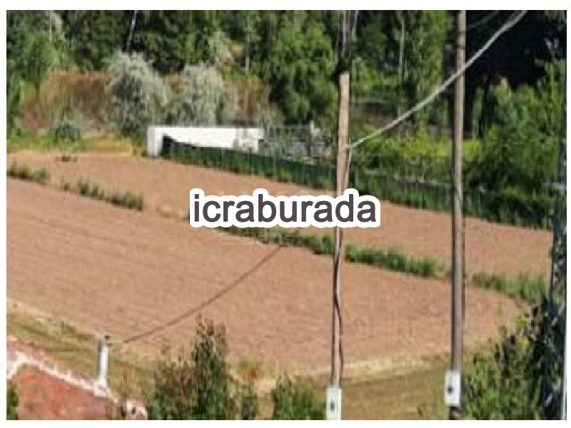 icralık  m2 Tarla Tokat Merkez Dedeli