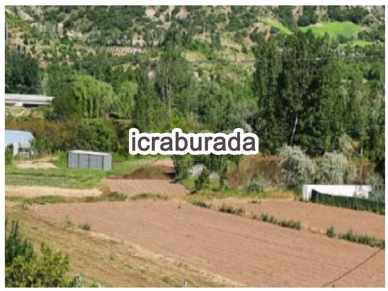 icralık  m2 Tarla Tokat Merkez Dedeli