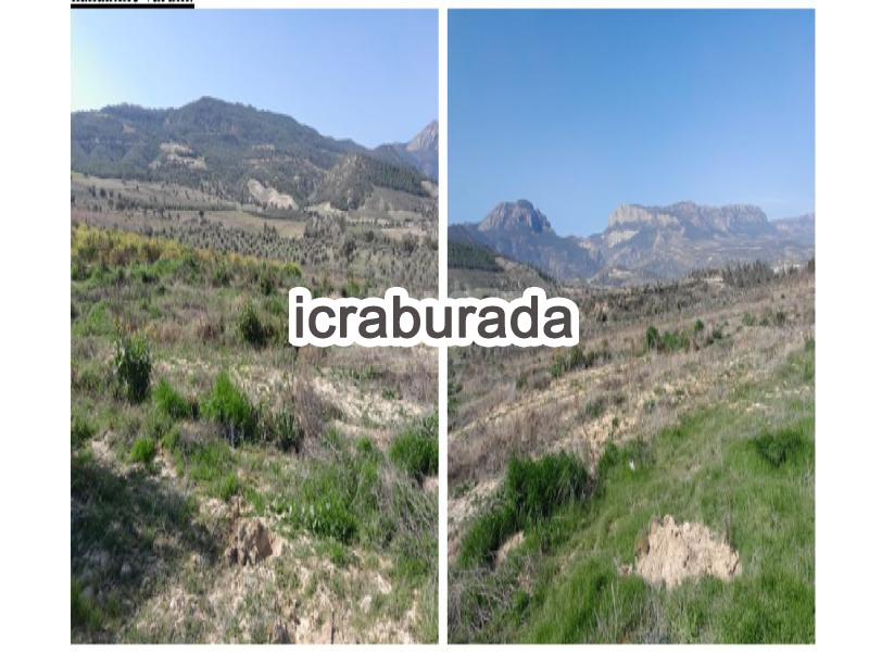 icralık  m2 Tarla Mersin Mut Kirkkavak