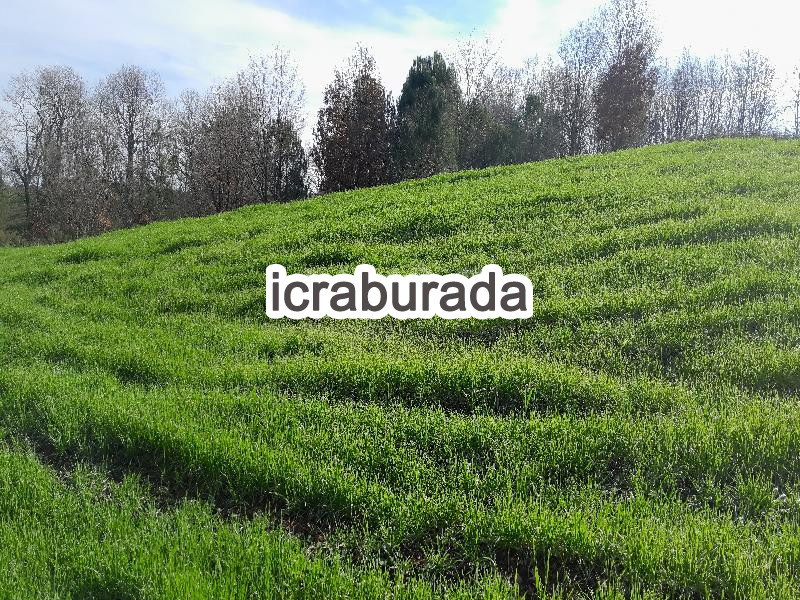 icralık  m2 Tarla Çanakkale Çan Danapinar