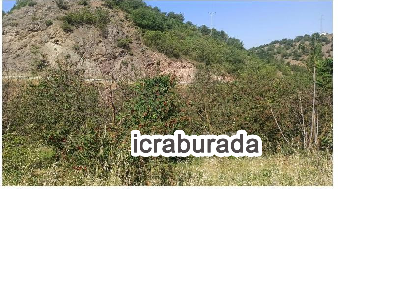 icralık  m2 Bag Amasya Merkez Aydinlik
