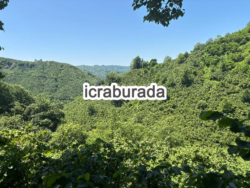 icralık  m2 Diger Ordu Fatsa Ilica