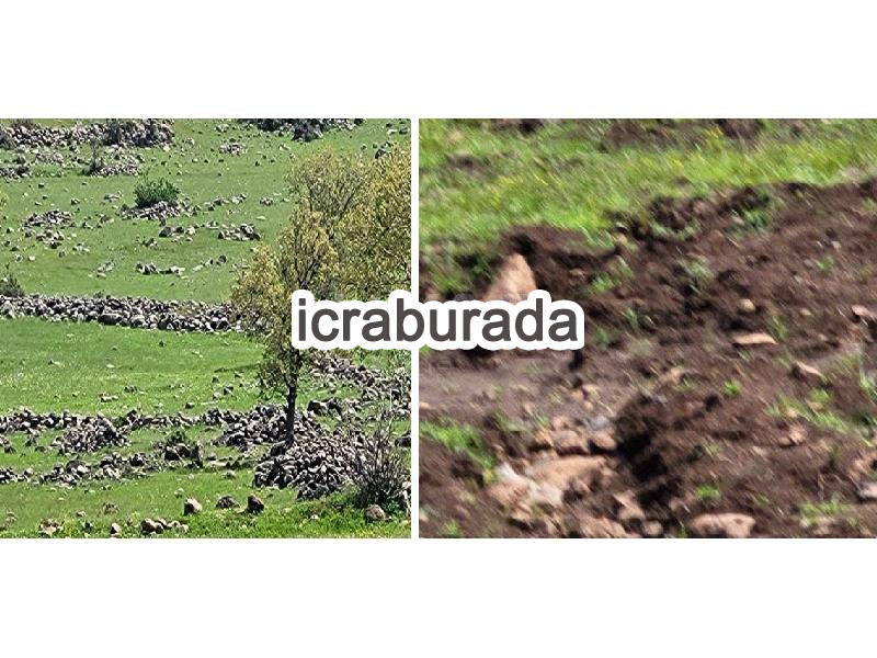 icralık  m2 Tarla Kilis Musabeyli Hasanceli