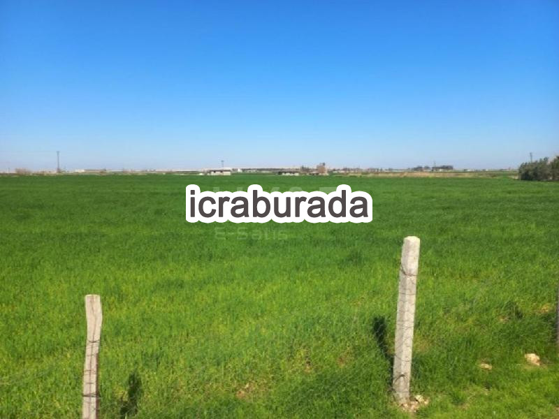 icralık  m2 Tarla Şanlıurfa Harran Sehrince