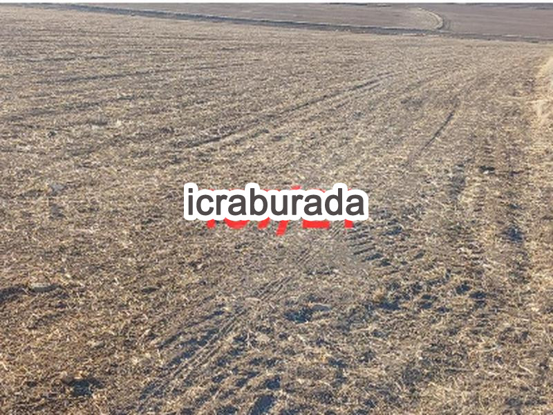 icralık  m2 Tarla Yozgat Yerköy Hacimusali