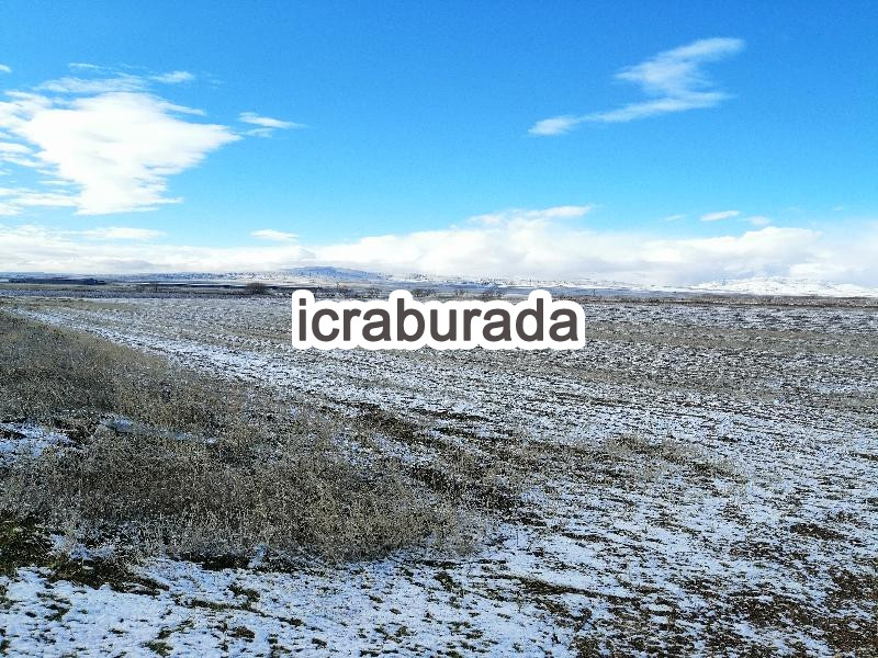 icralık  m2 Tarla Kırşehir Boztepe Harmanalti