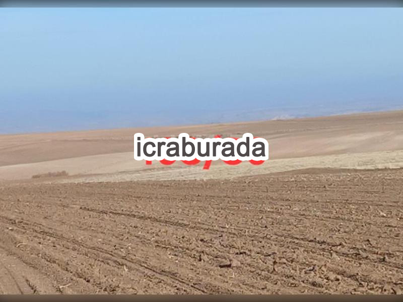 icralık  m2 Tarla Yozgat Yerköy Kördeve