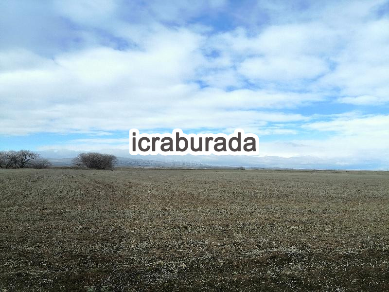 icralık  m2 Tarla Kırşehir Boztepe Harmanalti
