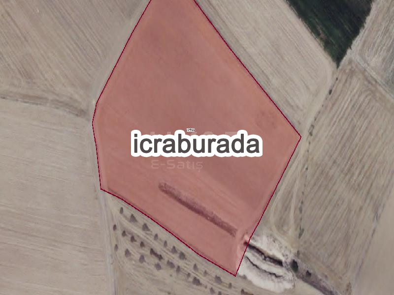 icralık  m2 Tarla Kırşehir Boztepe Harmanalti