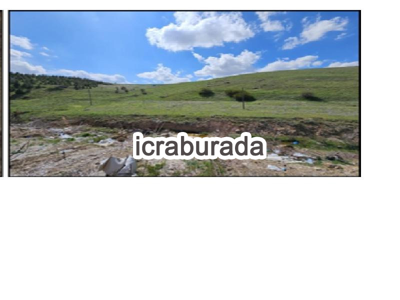 icralık  m2 Tarla Afyonkarahisar Bolvadin Özburun/şehirönü