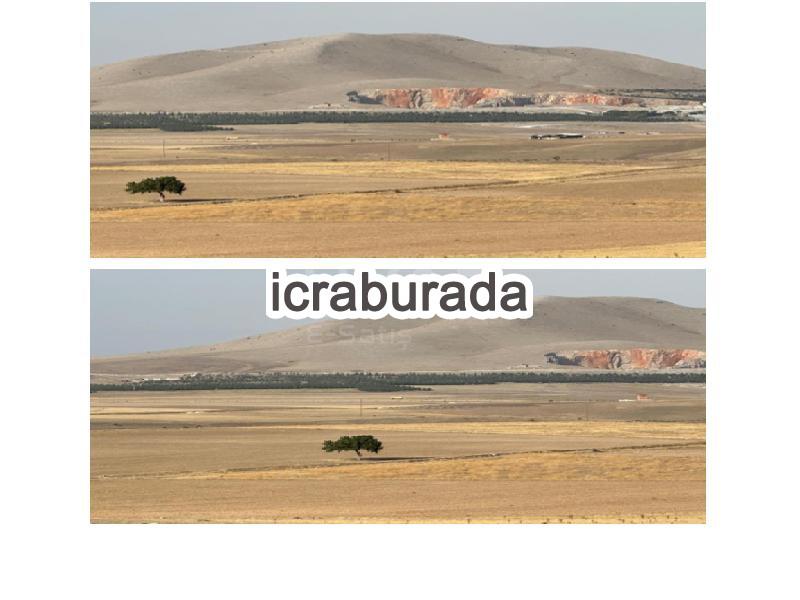 icralık  m2 Tarla Afyonkarahisar Emirdağ Başkonak