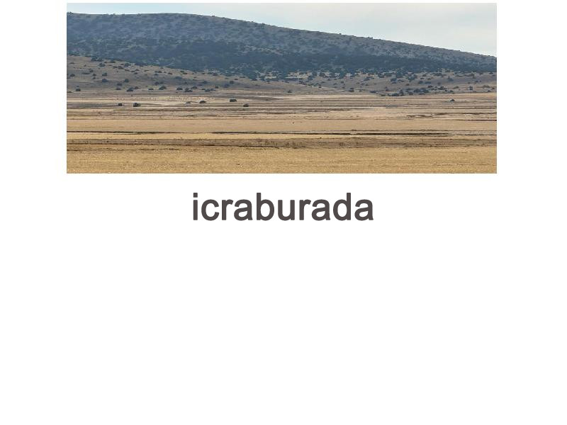 icralık  m2 Tarla Afyonkarahisar Emirdağ Başkonak