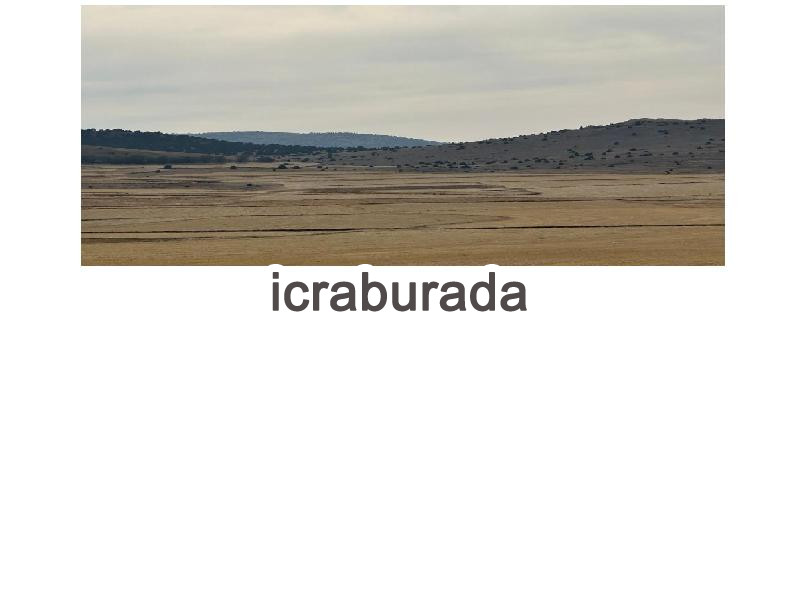 icralık  m2 Tarla Afyonkarahisar Emirdağ Başkonak