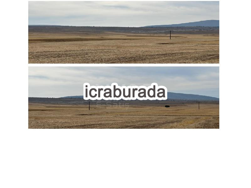 icralık  m2 Tarla Afyonkarahisar Emirdağ Başkonak