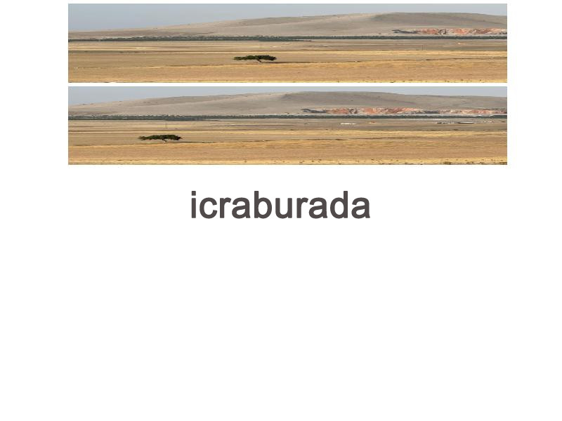 icralık  m2 Tarla Afyonkarahisar Emirdağ Başkonak
