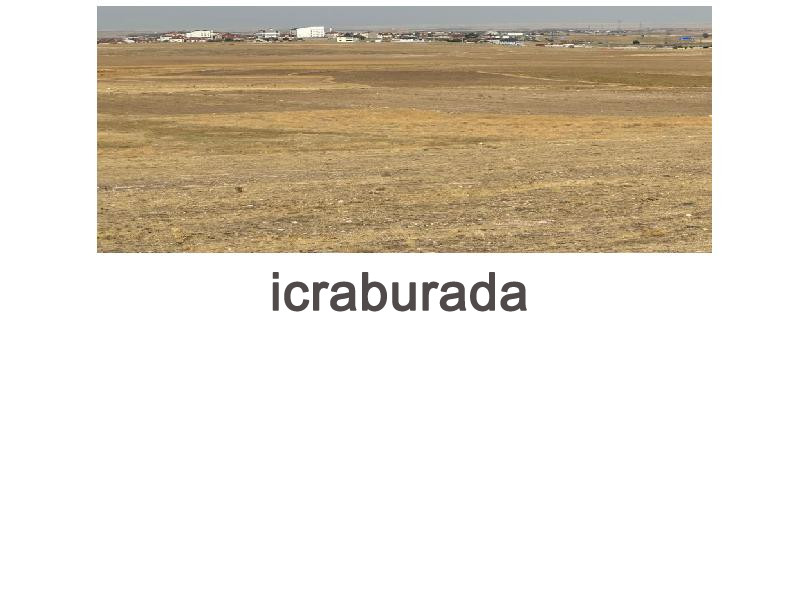 icralık  m2 Tarla Afyonkarahisar Emirdağ Başkonak