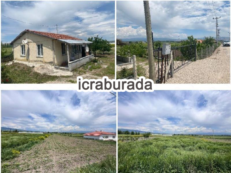 icralık  m2 Tarla Çorum Merkez Karabürçek