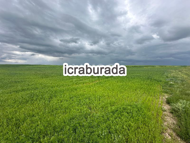 icralık  m2 Tarla Ankara Gölbaşı Bezirhane