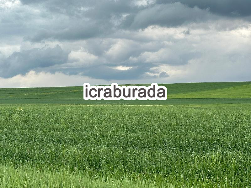 icralık  m2 Tarla Ankara Gölbaşı Bezirhane
