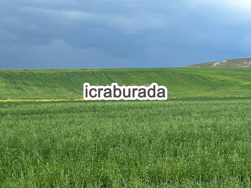 icralık  m2 Tarla Ankara Gölbaşı Bezirhane
