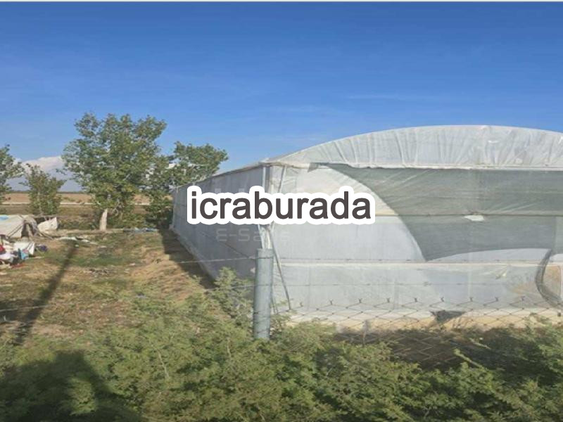 icralık  m2 Tarla Mersin Tarsus Zübeyir