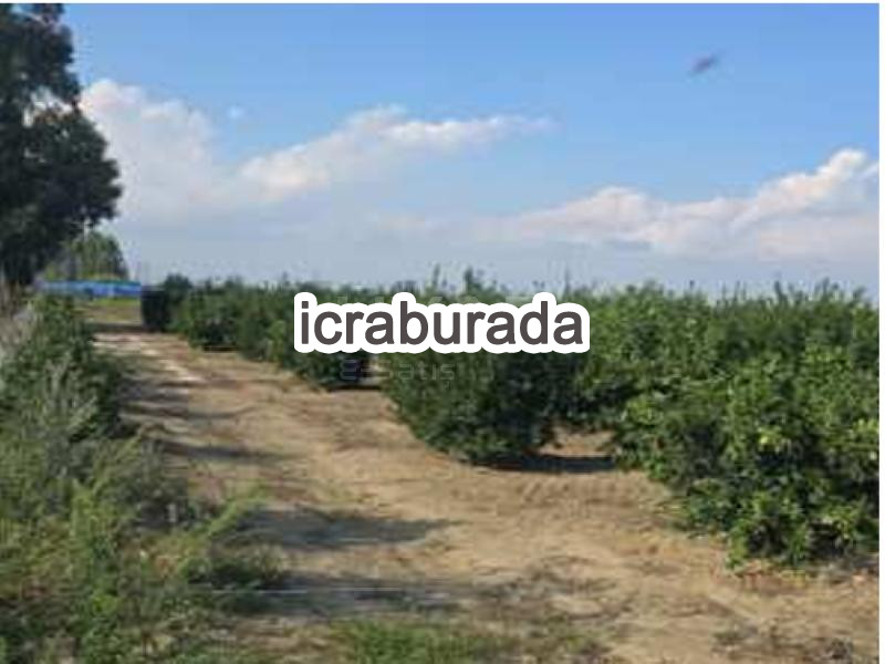 icralık  m2 Tarla Mersin Tarsus Zübeyir