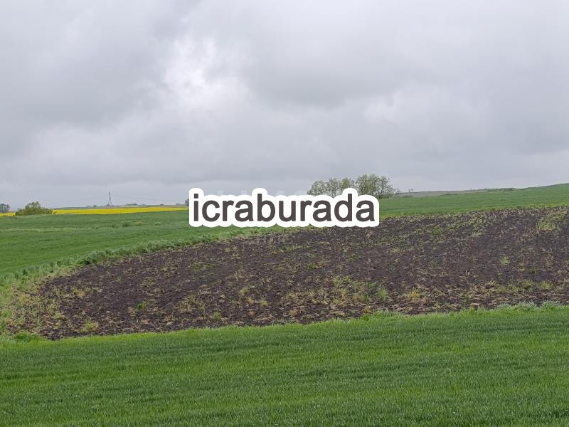 icralık  m2 Tarla Kırklareli Babaeski Çengerli