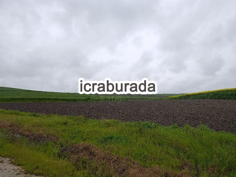 icralık  m2 Tarla Kırklareli Babaeski Çengerli