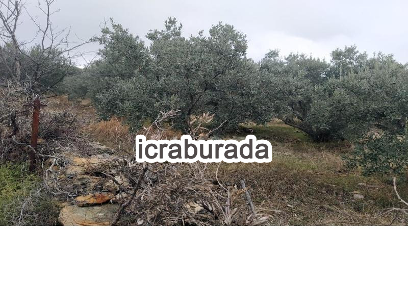 icralık  m2 Tarla Aydın Söke Güllübahçe