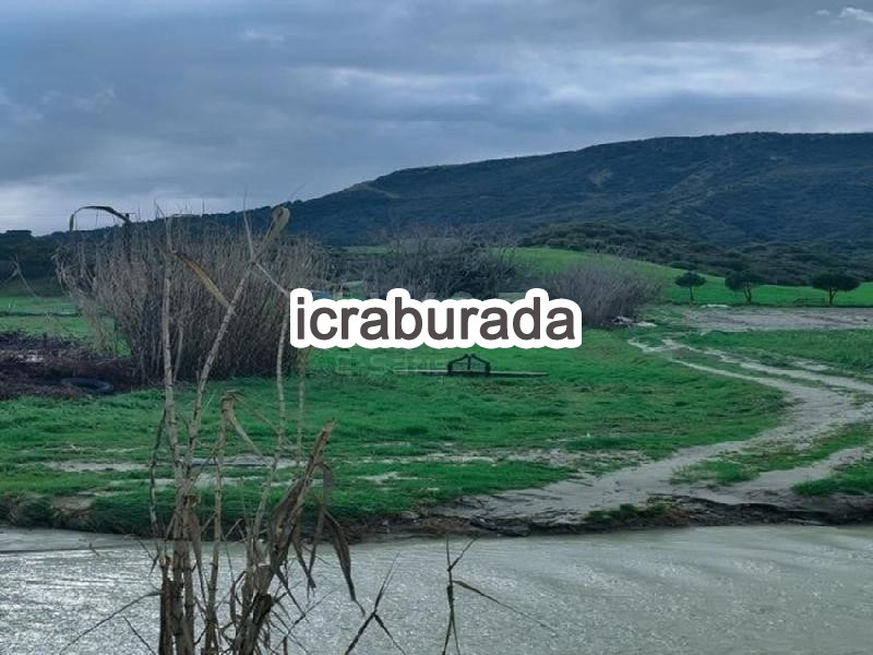 icralık  m2 Diger Manisa Kula Şehitlioğlu