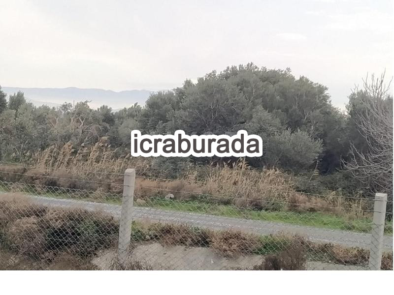 icralık  m2 Tarla Aydın Söke Güllübahçe