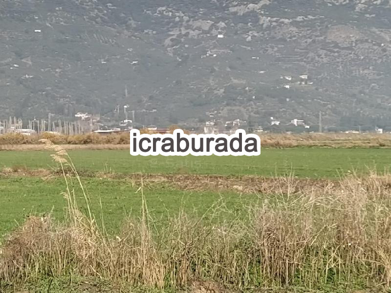 icralık  m2 Tarla Belirtilmedi Belirtilmedi Belirtilmedi