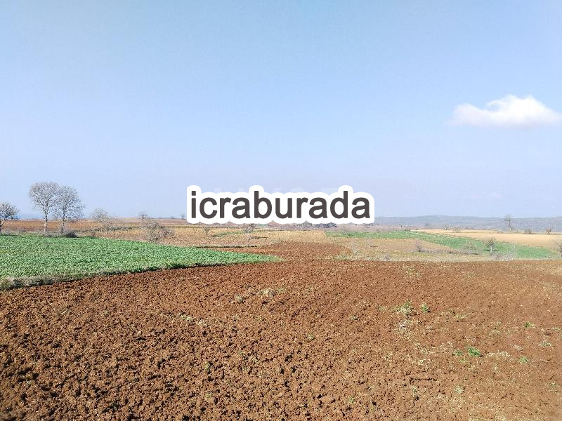 icralık  m2 Tarla Bilecik Merkez Beyce