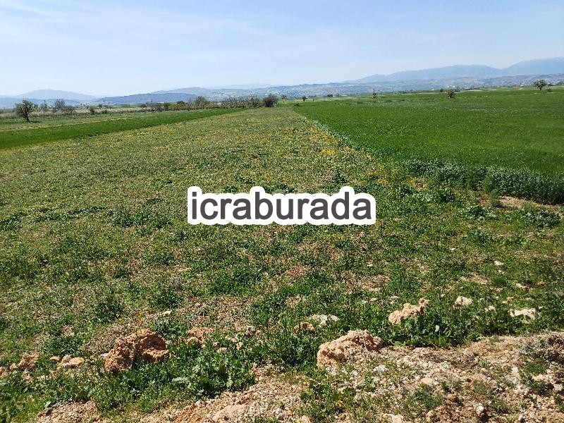 icralık  m2 Tarla Antalya Korkuteli Karataş
