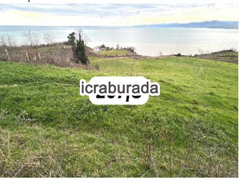 icralık  m2 Tarla Sinop Merkez Ordu