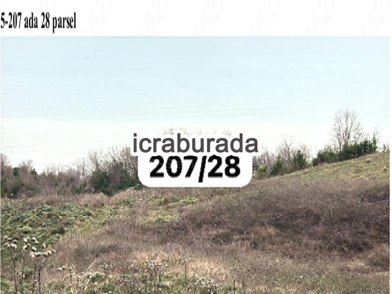 icralık  m2 Tarla Sinop Merkez Ordu