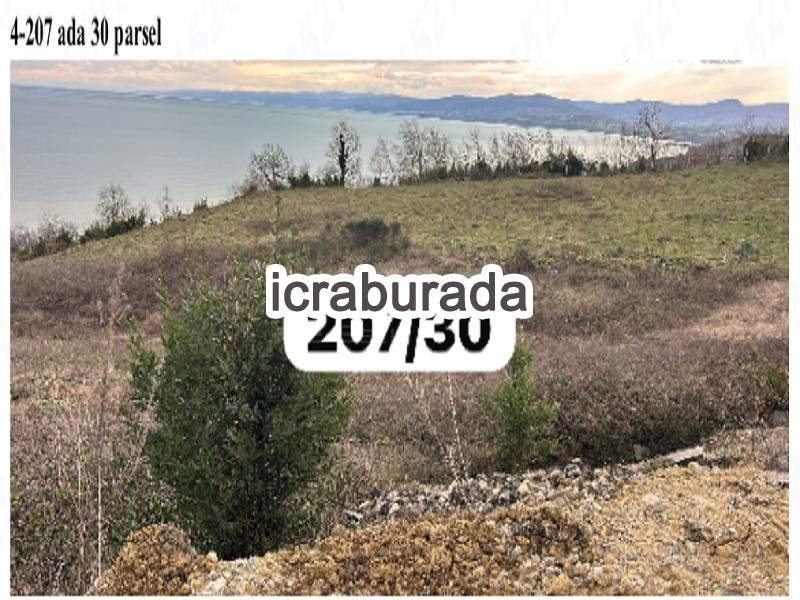 icralık  m2 Tarla Sinop Merkez Ordu