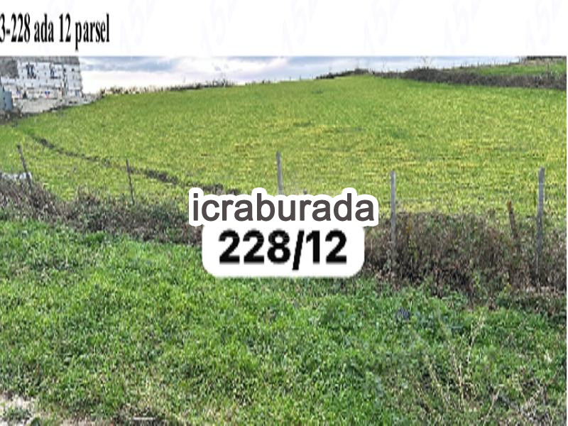 icralık  m2 Tarla Sinop Merkez Ordu