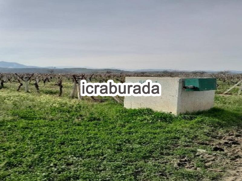 icralık  m2 Tarla Manisa Gölmarmara Hacibaştanlar