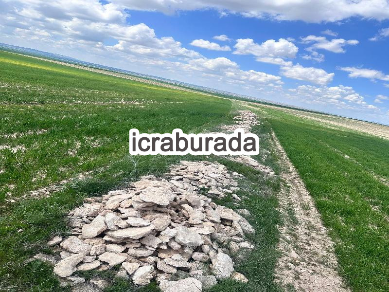 icralık  m2 Tarla Kayseri Kocasinan Düver