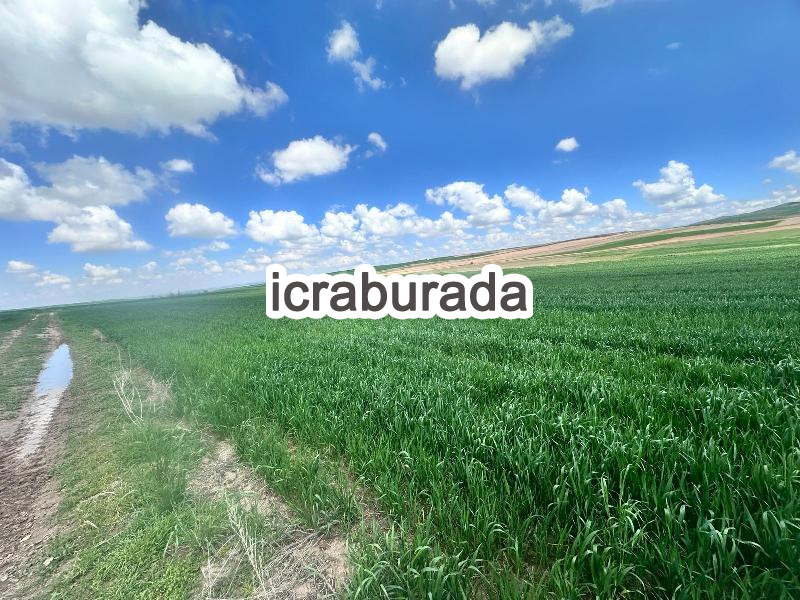 icralık  m2 Tarla Kayseri Kocasinan Düver