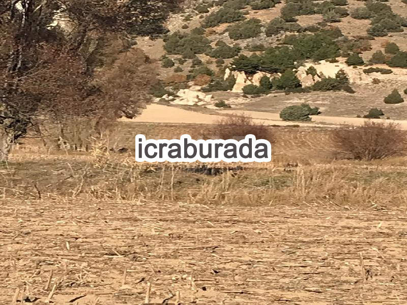 icralık  m2 Tarla Eskişehir Seyitgazi Kümbet